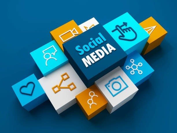 Social Media Growth – 12 Months